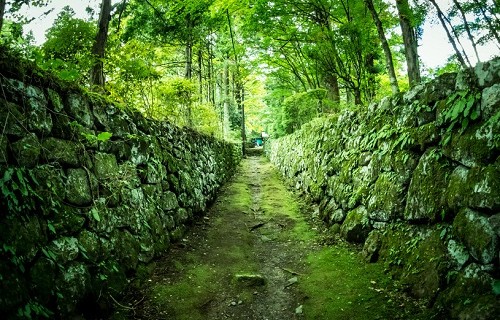うまくいかない一本道