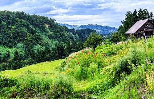 イライラするから山小屋暮らし
