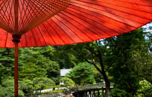 根性の傘