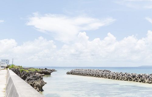 新卒だけど仕事辞めたい海行きたい