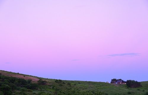 甘えたい紫の空