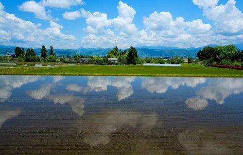 自己否定が映る田んぼ