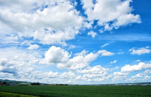 自由に生きたい時に見る空