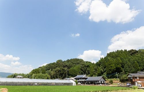 離婚したい田舎に帰ります