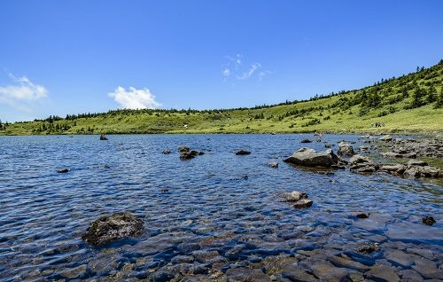 繊細さがある川
