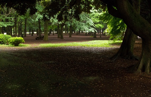 誰からも愛されないと感じる理由と幸せな考え方を選ぶ方法